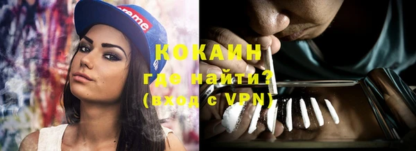 Альфа ПВП Гусев