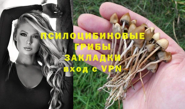 синтетический гашиш Гусиноозёрск