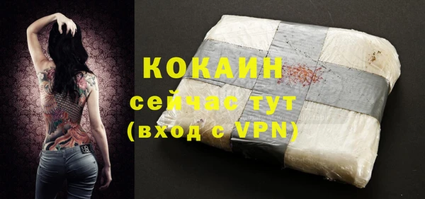 Альфа ПВП Гусев