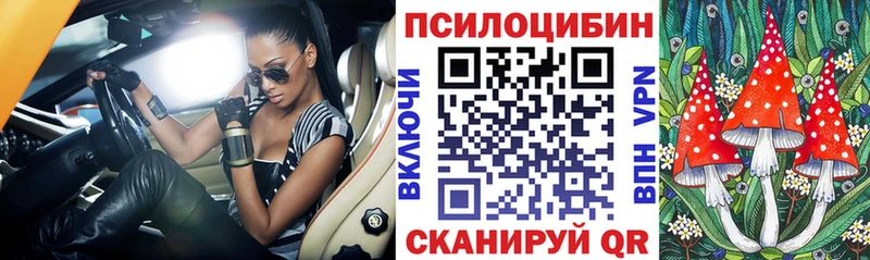 Псилоцибиновые грибы мицелий  где можно купить   ссылка на мегу ONION  Тула 