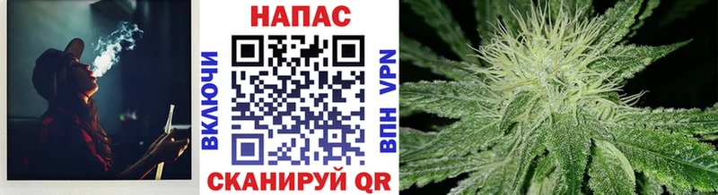 Бошки марихуана сатива  даркнет сайт  Тула 
